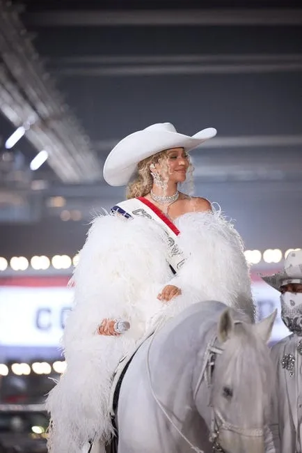 Dec 25, 2024; Houston, Texas, USA; Musician Beyonce preforms during the half time show between the Baltimore Ravens and the Houston Texans at NRG Stadium. © Julian Dakdouk Parkwood Entertainment via Imagn Images