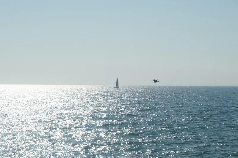 Along the lakefront on the southside of Chicago