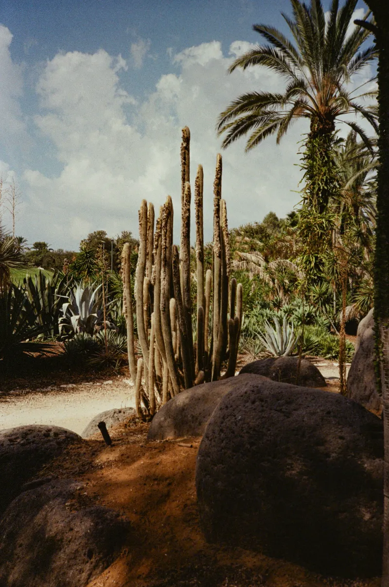 Story image